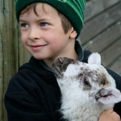 Irish boy and lamb photo tour Ireland
