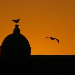 Essaouira Morocco portuguese fort photo tour J Steedle
