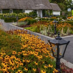 Cong Ireland photo tour Kathy Adams Clark