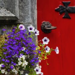 Cong flower box Ireland photo tour Kathy Adams Clark