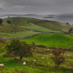 Fields Ireland photo tour Kathy Adams Clark