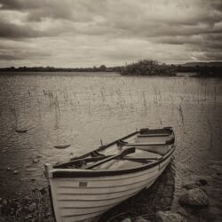 Sheffery Woods Ireland photo tour Kathy Adams Clark