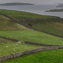 Fields Ireland photo tour Kathy Adams Clark