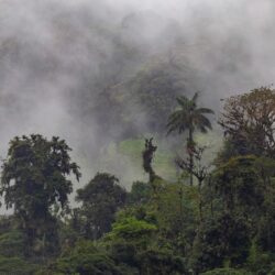 Ecuador photo tour Kathy Adams Clark cloud forest