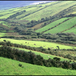 Dingle Peninsula Landscape Ireland photo tour Karen Schulman