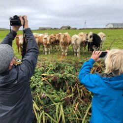 Kilfearagh Foohagh Ireland farm Karen Schulman photo tour