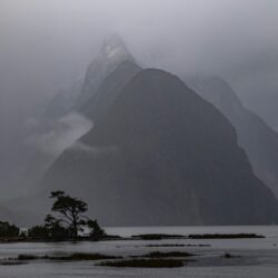 New Zealand Milford photo tour Kathy Adams Clark