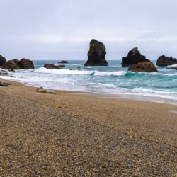 New Zealand Monro Beach photo tour Kathy Adams Clark